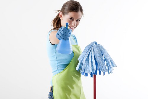 Professional oven cleaning service for homes in N6