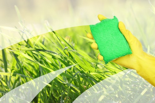 Professional oven cleaning service for homes in N6