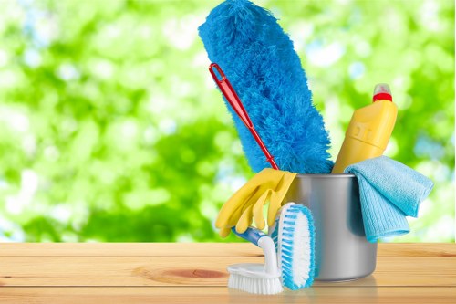 Professional upholstery cleaning service for a sofa in an N6 home