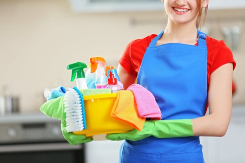 Cleaner servicing a local home in N6