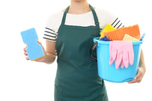 Residential window cleaning for flats and houses in N6