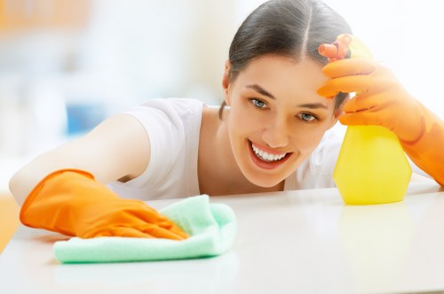 Detailed kitchen and bathroom deep clean in N6