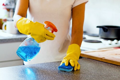 One-off cleaning service for homes in N6 with attention to detail