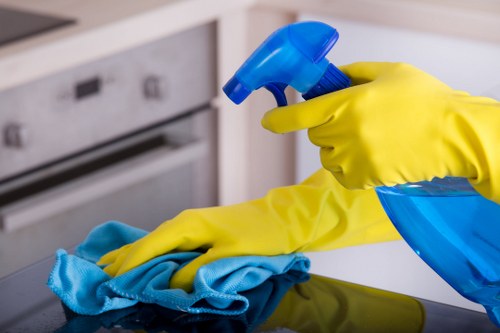 Professional home and light commercial cleaners serving N6