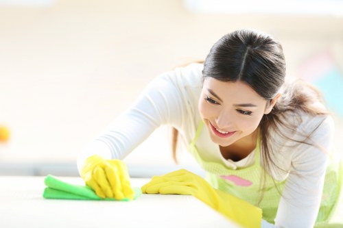 Domestic cleaning in a N6 flat or house