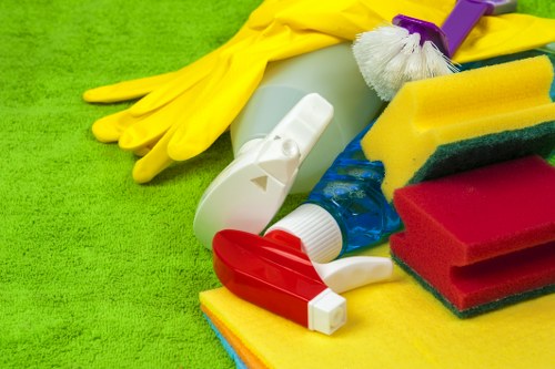 Regular domestic cleaning for busy households in N6