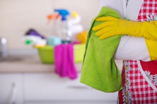 Detailed oven cleaner working on a kitchen appliance in N6