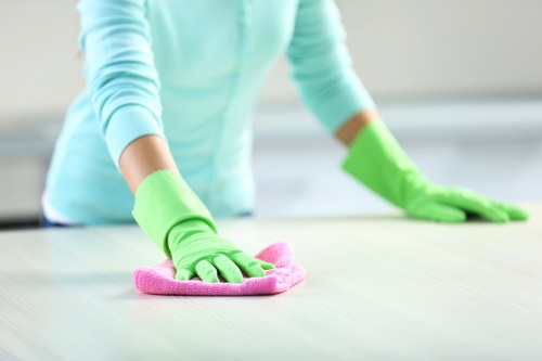 Cleaning support for flats and period homes in N6