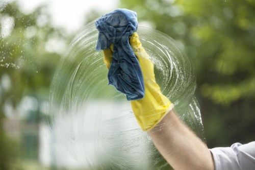 Local domestic cleaner working in an N6 kitchen and living area