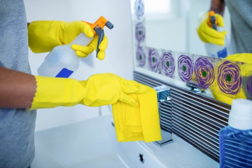 Local oven cleaning service for flats and houses in N6