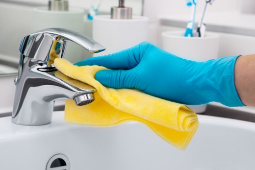 Kitchen and bathroom cleaning for N6 homes