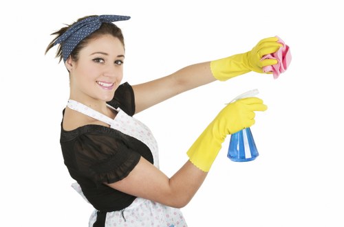 Book a reliable cleaning service for N6 homes and offices