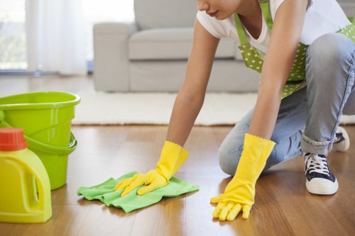 Cleaning rugs and upholstery alongside carpets